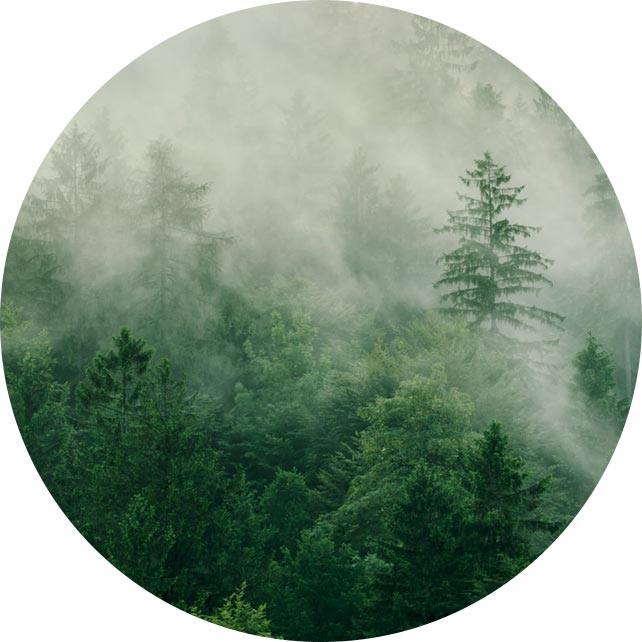 Yangzhou SuxianG Medical Instrumentum Co., Ltd.